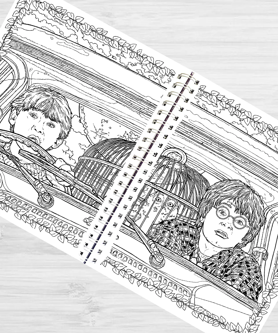 Libro para colorear Harry Potter y su mundo mágico 3