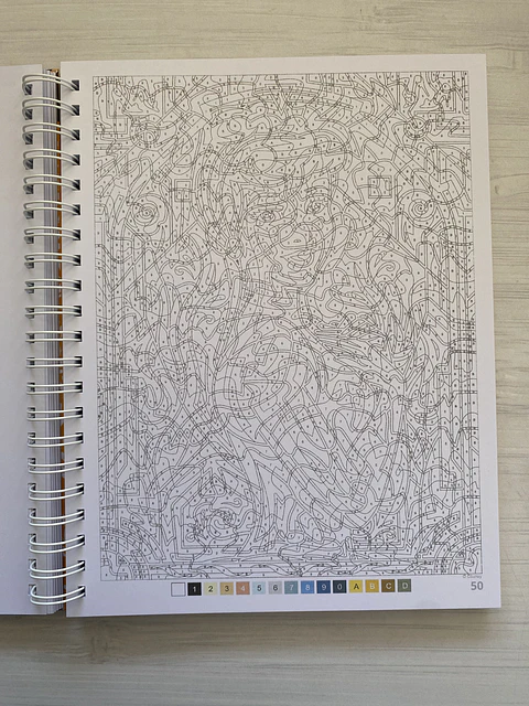 Libro para colorear Vitrales - Vitraux Tomo 2