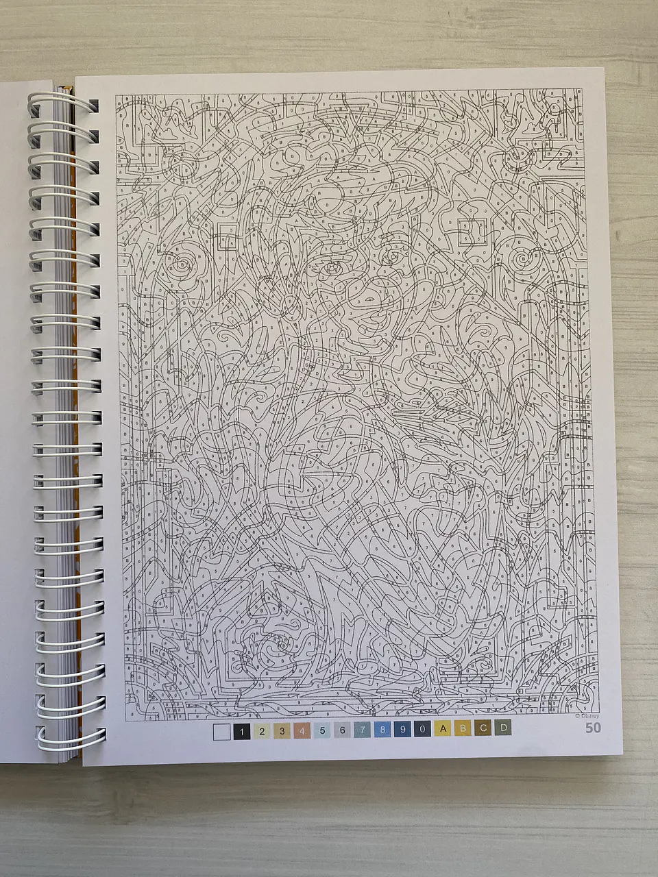 Libro para colorear Vitrales - Vitraux Tomo 2 2
