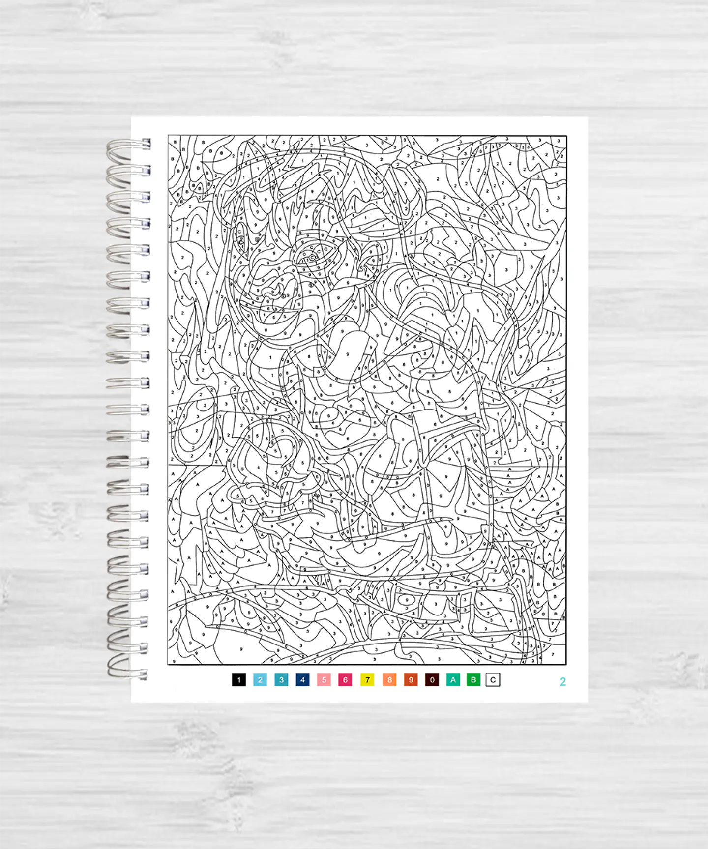 Libro para colorear 