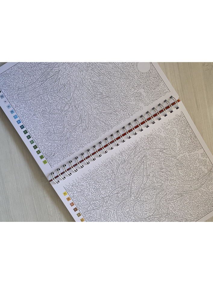 Libro para colorear Pokémon 3