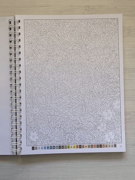 Libro para colorear Pokémon 4