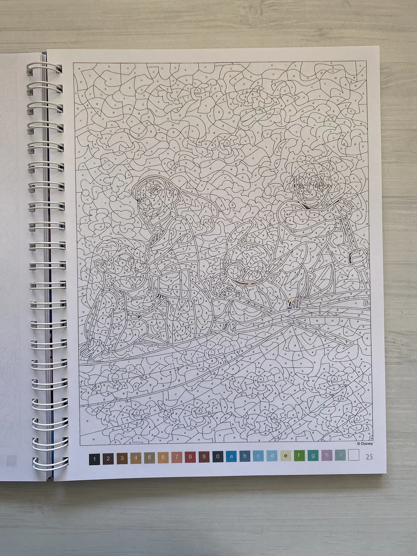 Libro para colorear Lilo y Stitch 2