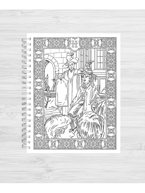 Libro para colorear Harry Potter y su mundo mágico 7