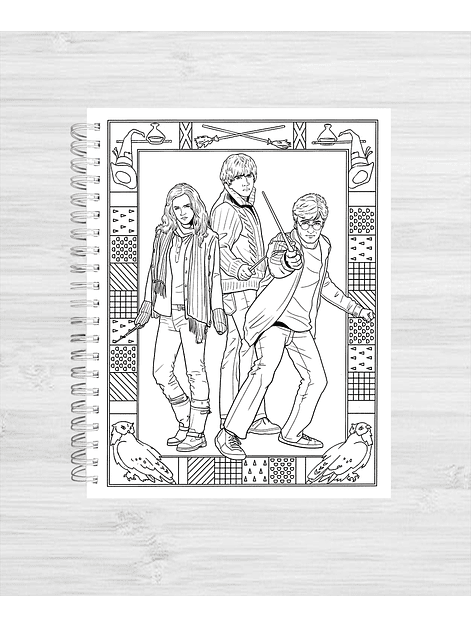 Libro para colorear Harry Potter y su mundo mágico 8