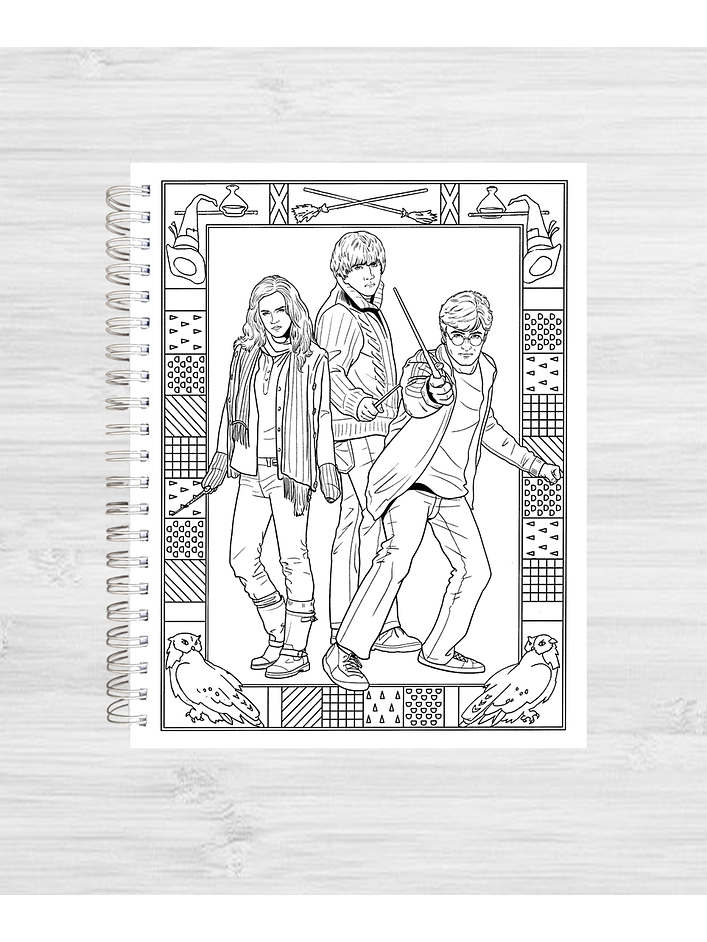 Libro para colorear Harry Potter y su mundo mágico 8