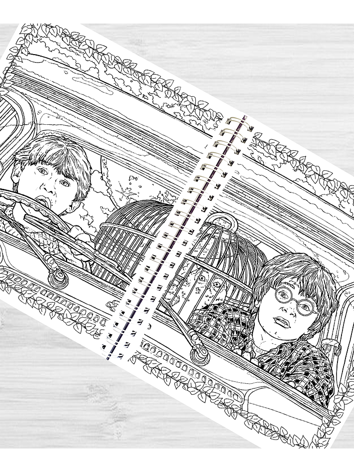 Libro para colorear Harry Potter y su mundo mágico 3