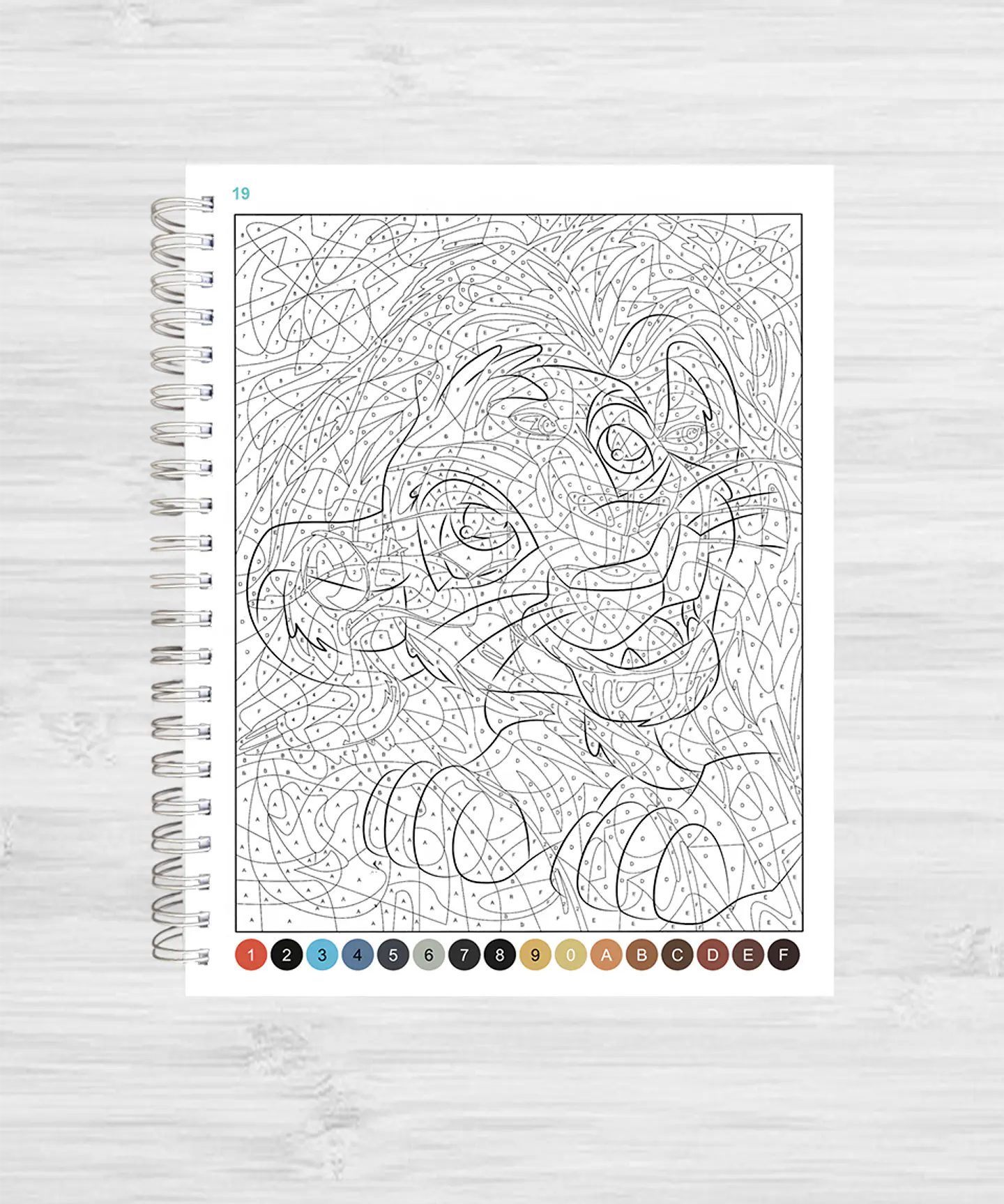 Libro para colorear 