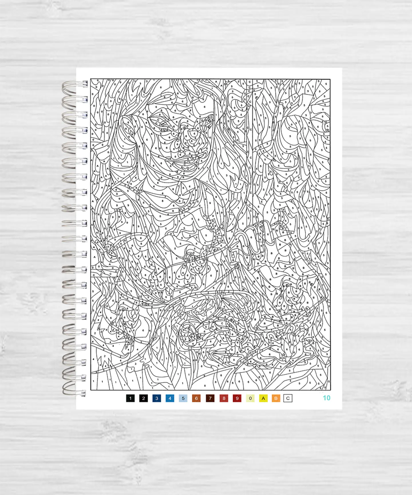 Libro para colorear 