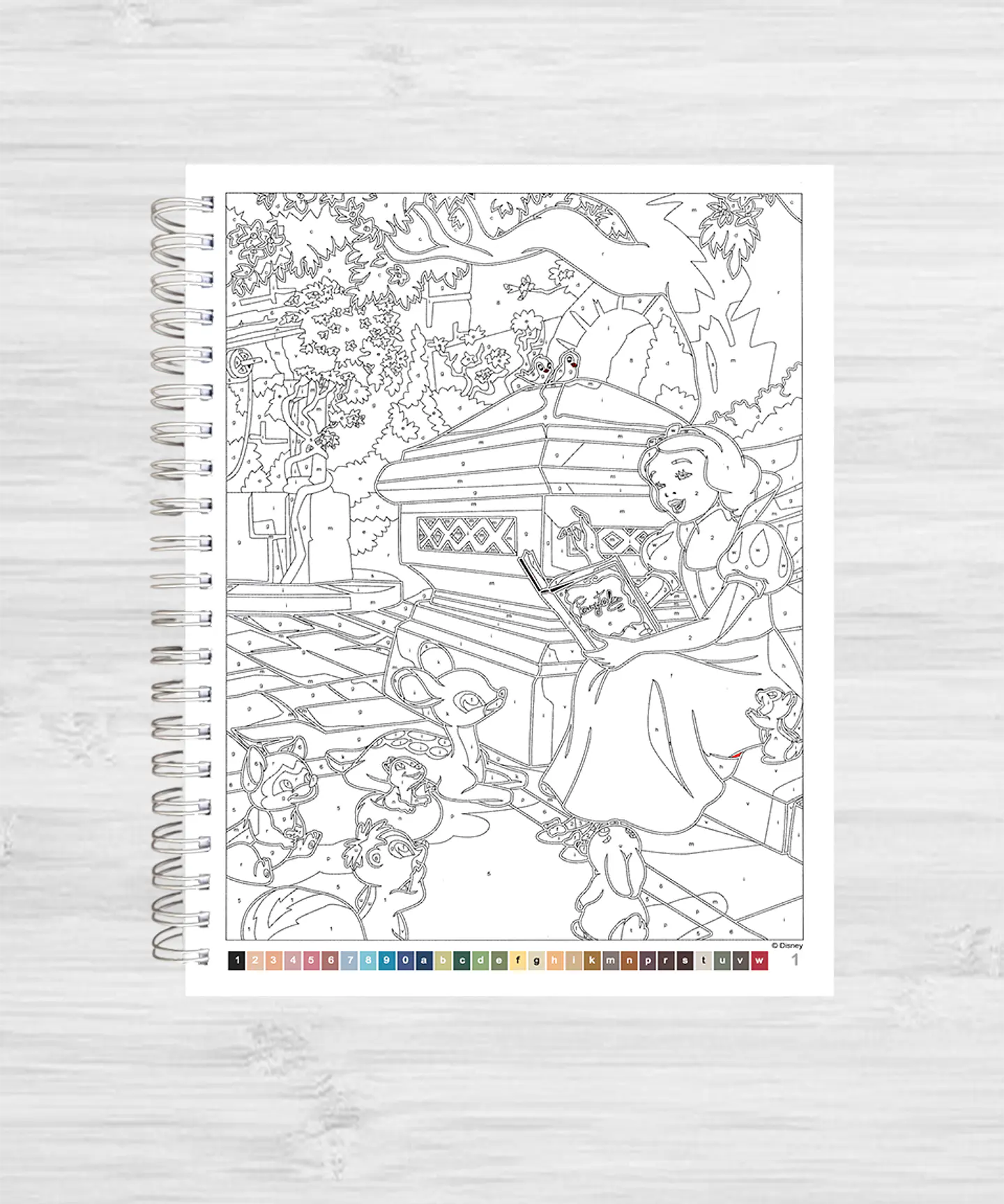 Libro para colorear 