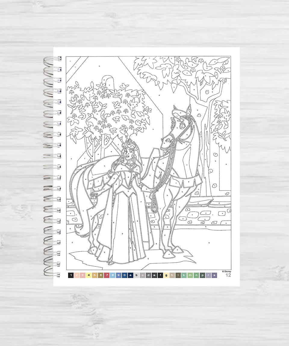 Libro para colorear 