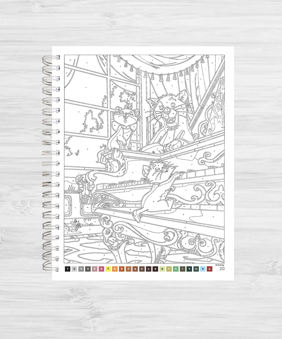 Libro para colorear 