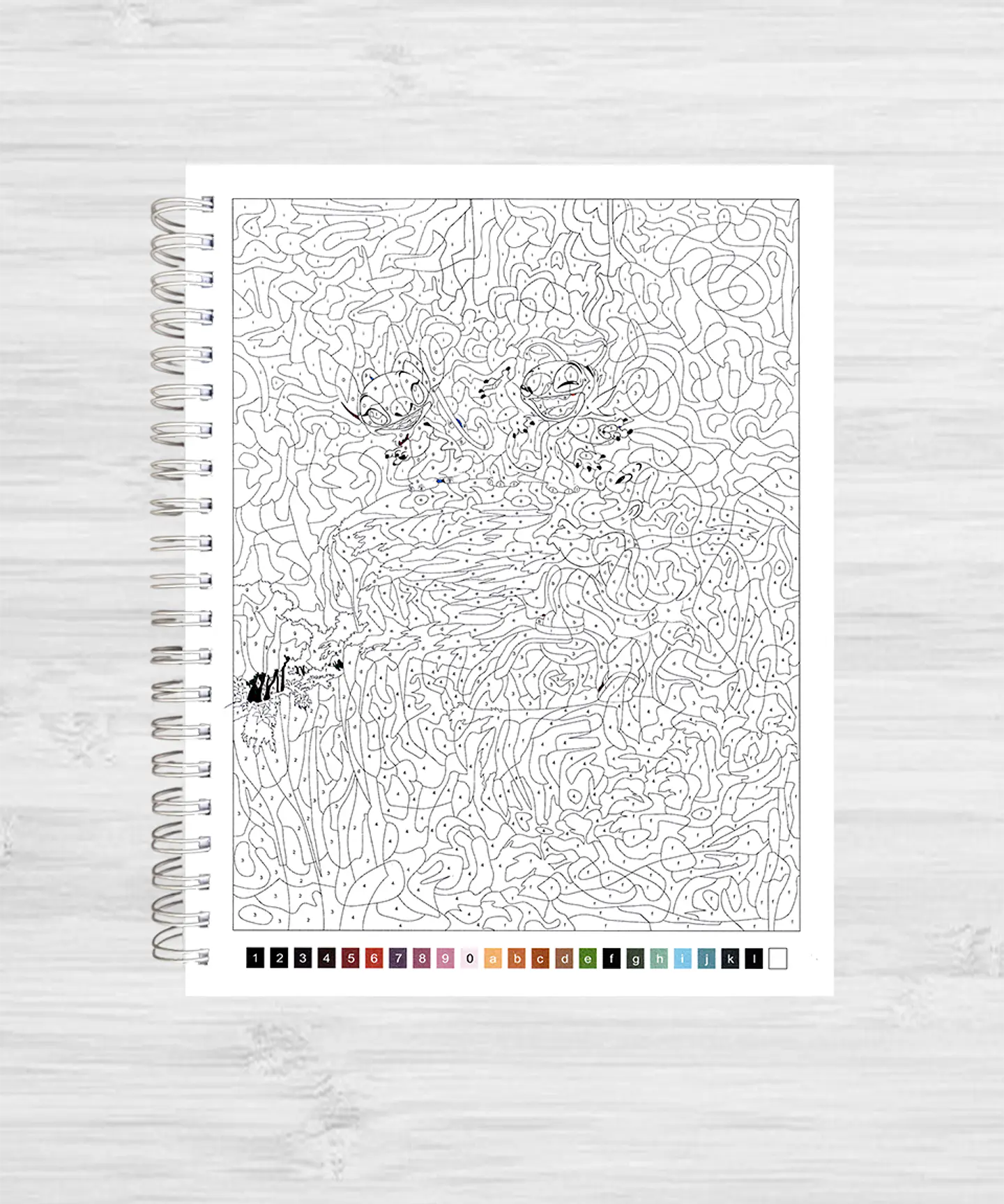 Libro para colorear 