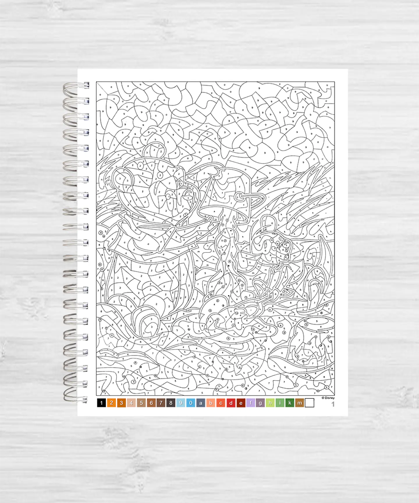 Libro para colorear 