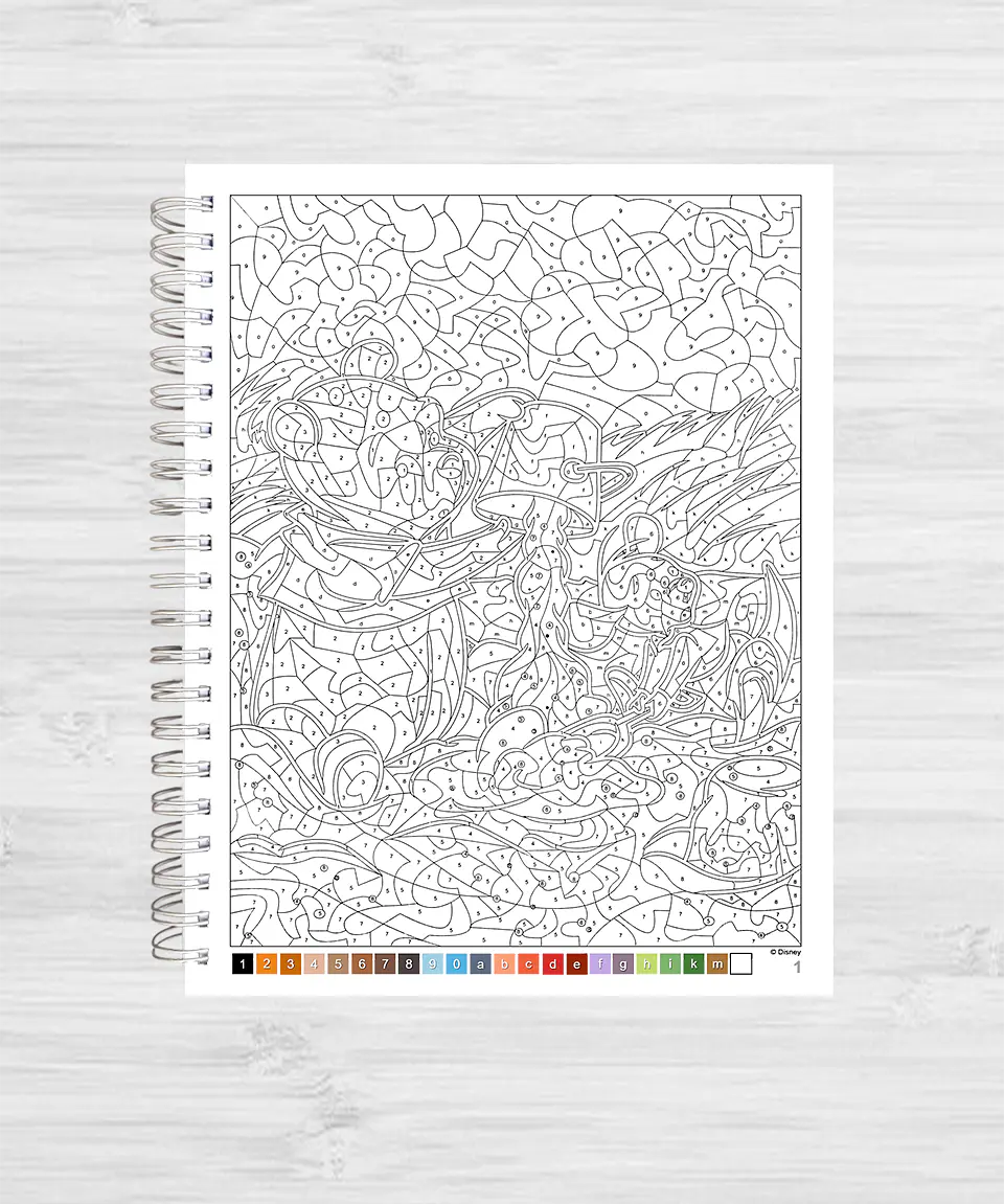 Libro para colorear 