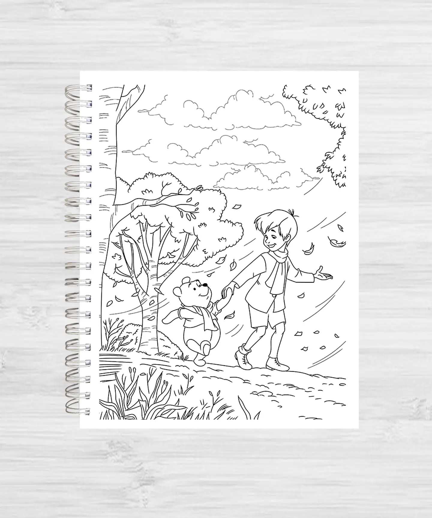 Libro para colorear 