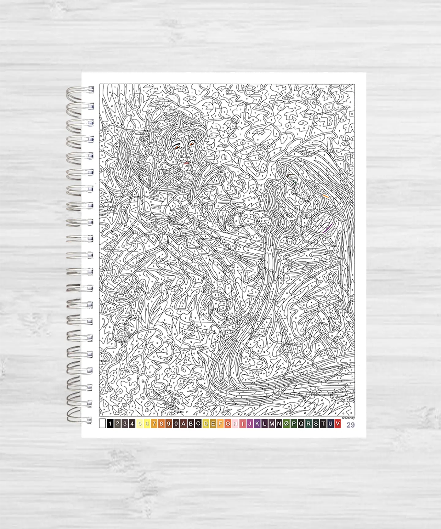Libro para colorear 