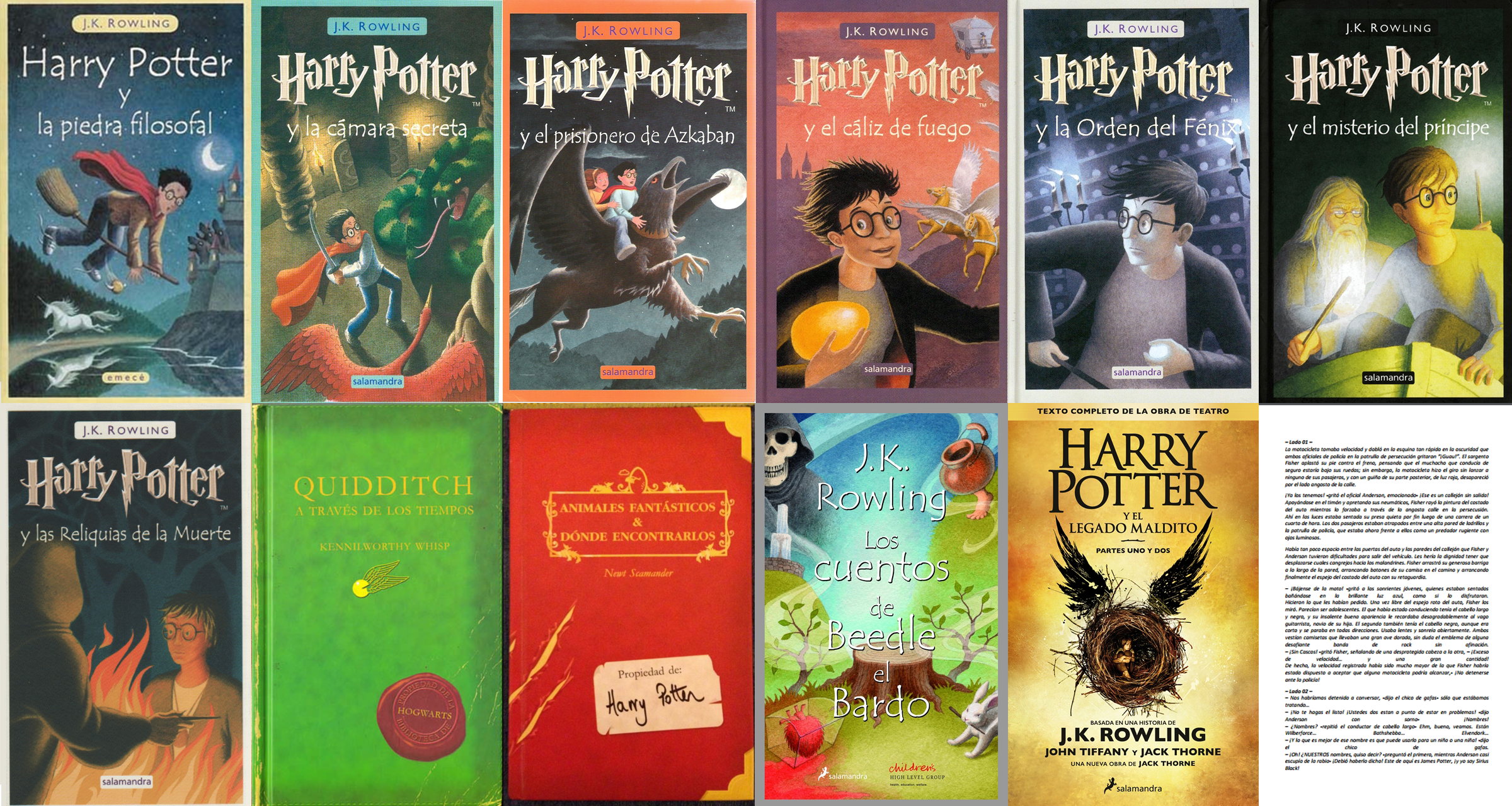 Colección libros Harry Potter PDF