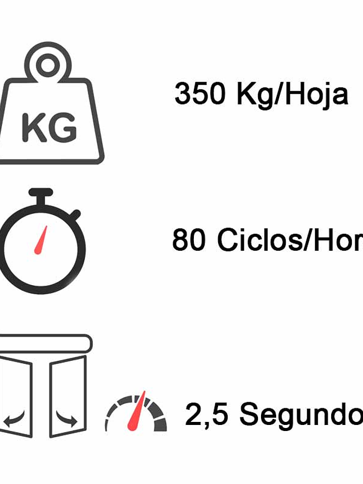 Motor Puerta Batiente Pivo Condominium Super Jetflex Ppa (doble hoja) 2