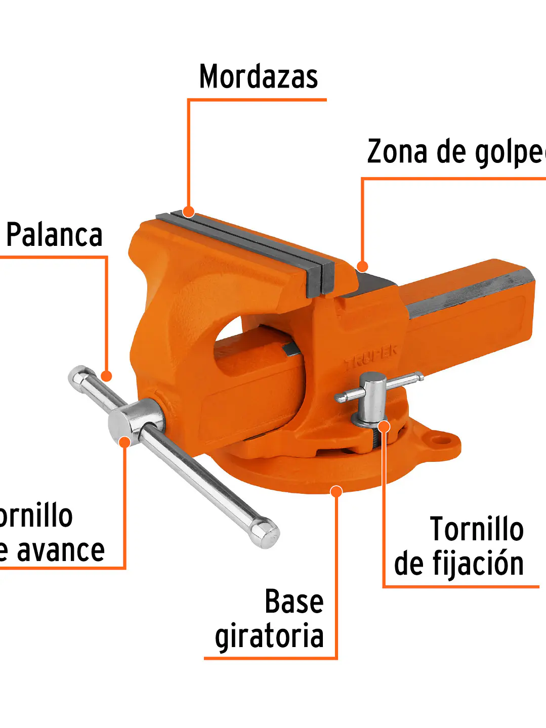 Tornillo de banco 6