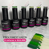 PACK COLECCION FOREST GREEN (PROMO EDICION LIMITADA 6 COLORES)