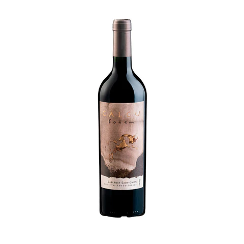 Fotem Cabernet Sauvignon – Viñedos Calcu
