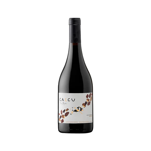 Tiny Blocks Syrah 2022 – Viñedos Calcu