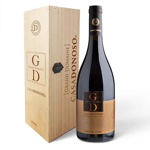 Super Ícono Grand Domaine – Casa Donoso