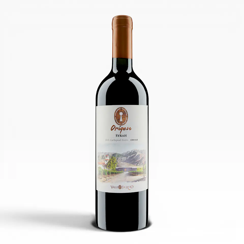 Origen Syrah – Valle Secreto 1