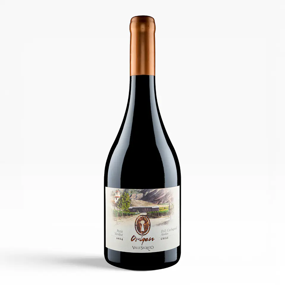 Origen Petit Verdot – Valle Secreto 1