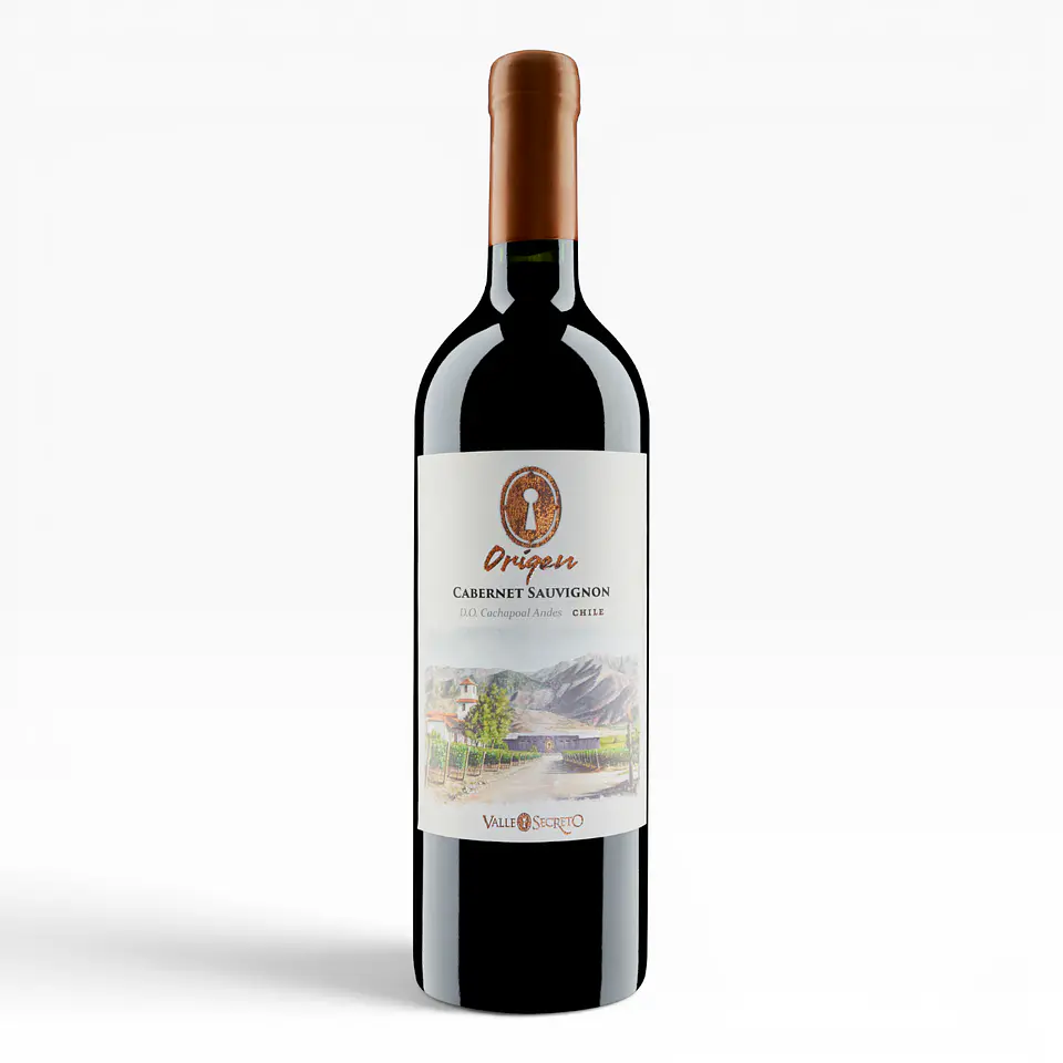 Origen Cabernet Sauvignon – Valle Secreto 1