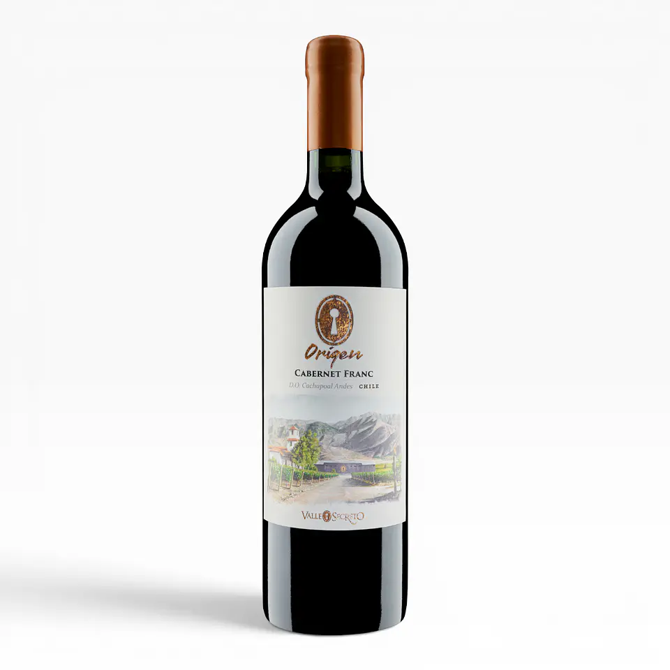 Origen Cabernet Franc – Valle Secreto 1