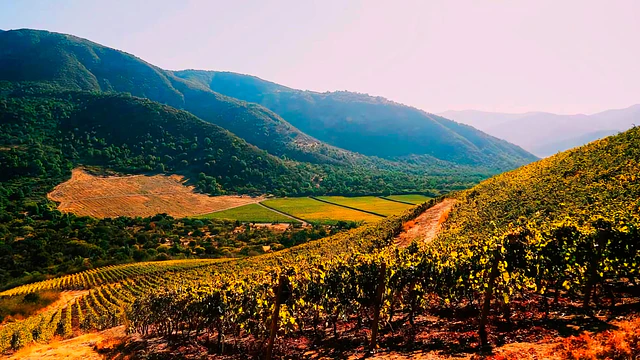 Maipo