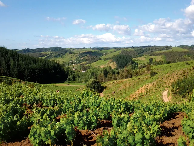 Itata