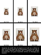 Cuadro Infantil: OSO - Miniatura 5