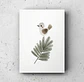 Cuadro Infantil: PAJARO - Miniatura 5