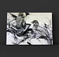 Cuadro Animales: AVES BLANCO Y NEGRO  - Miniatura 2