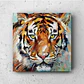 Cuadro Animales: CABEZA DE TIGRE  - Miniatura 1