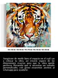 Cuadro Animales: CABEZA DE TIGRE  - Miniatura 5