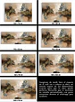 Cuadro Abstracto: RENACIMIENTO - Miniatura 5