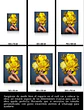 Cuadro Figura Humana: MUJER AMARILLA - Miniatura 5