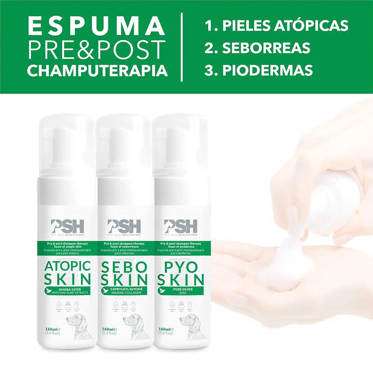 Sebo Skin Espuma 160 ML