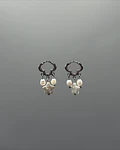 Aros Star