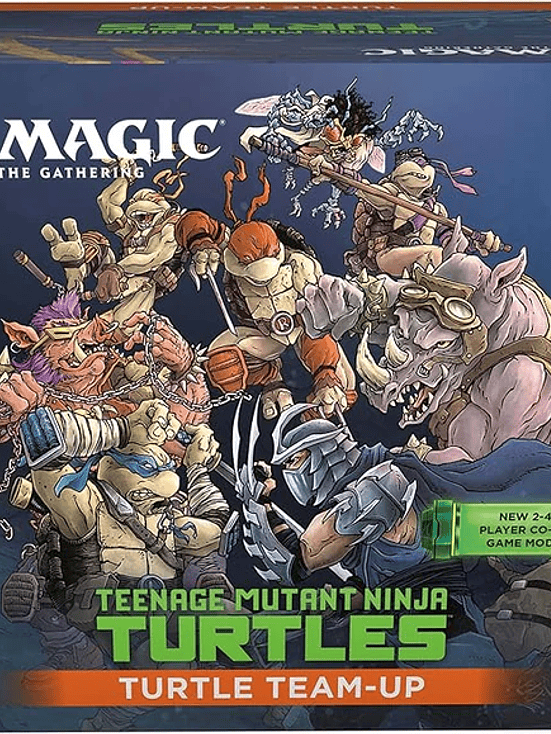 Teenage Mutant Ninja Turtles - Turtle Team-Up 1