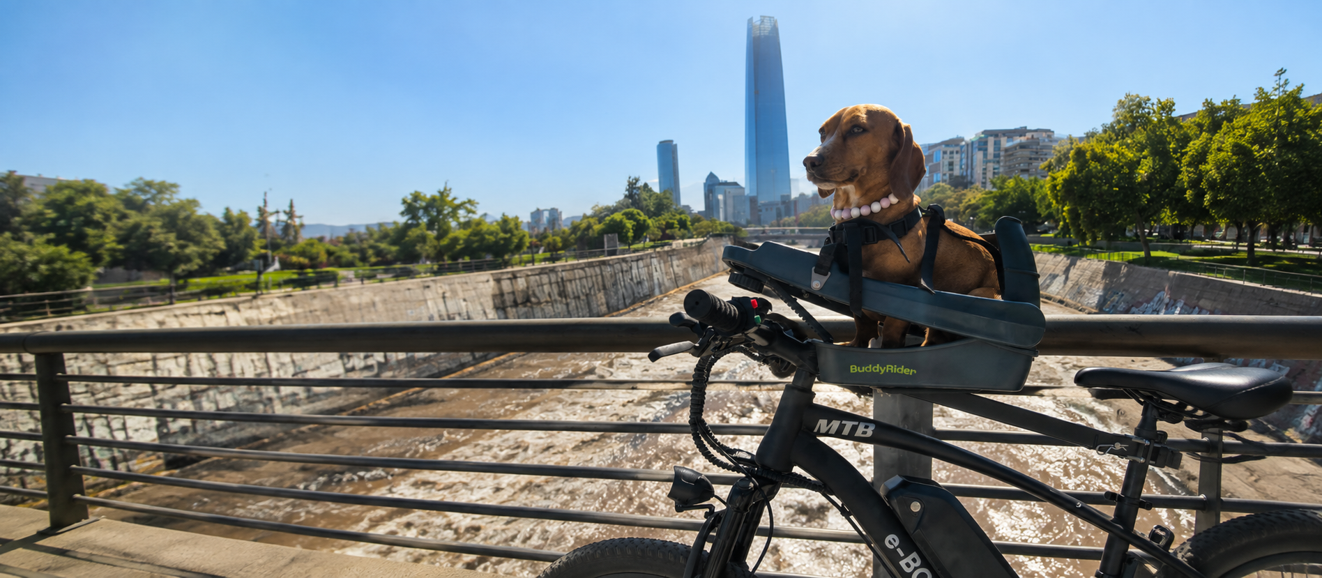 BuddyRider
