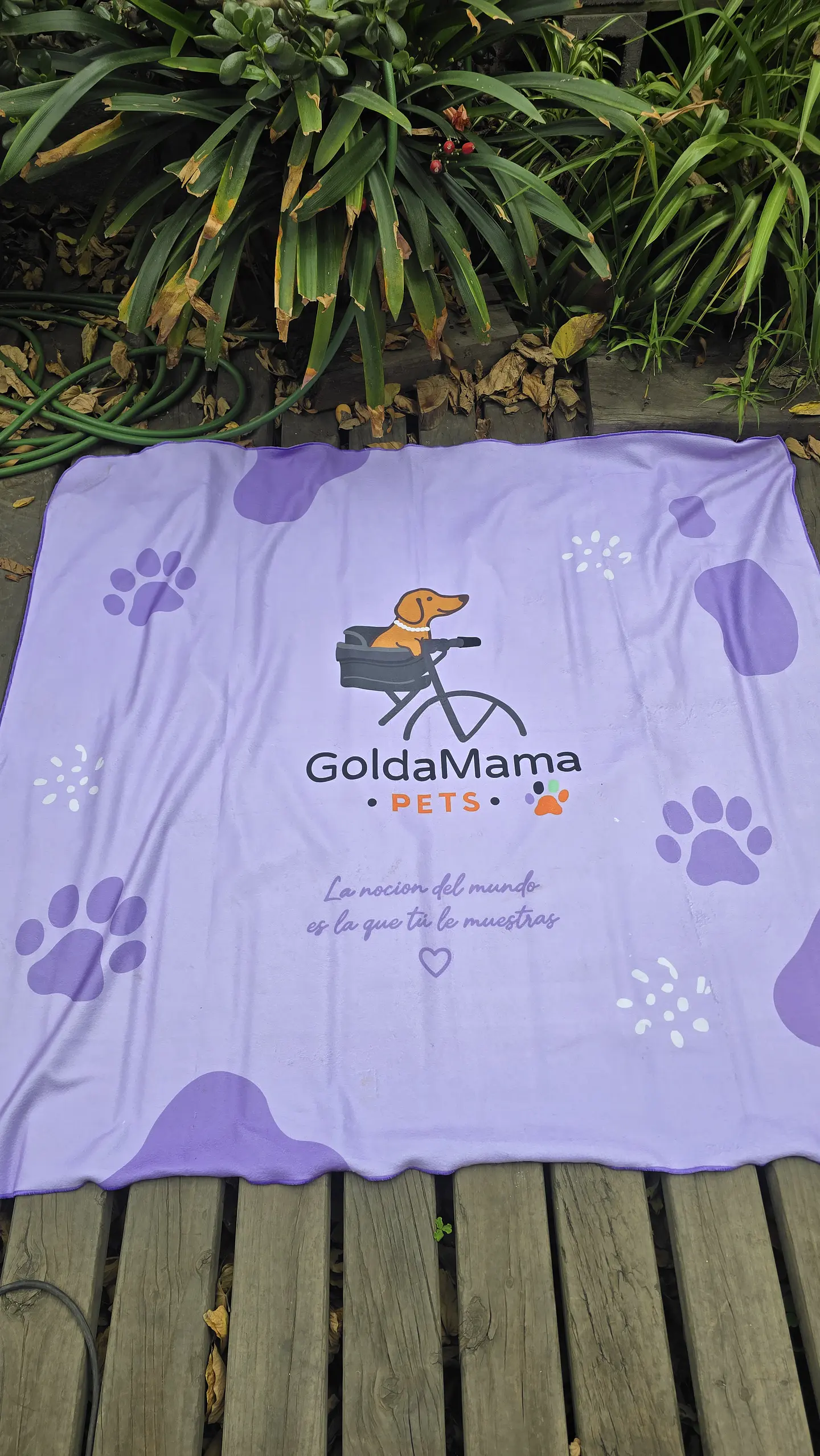 Manta Premium GoldaMama Pets – Edición Limitada 150 × 130 cm 1