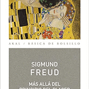 MAS ALLA DEL PRINCIPIO DEL PLACER