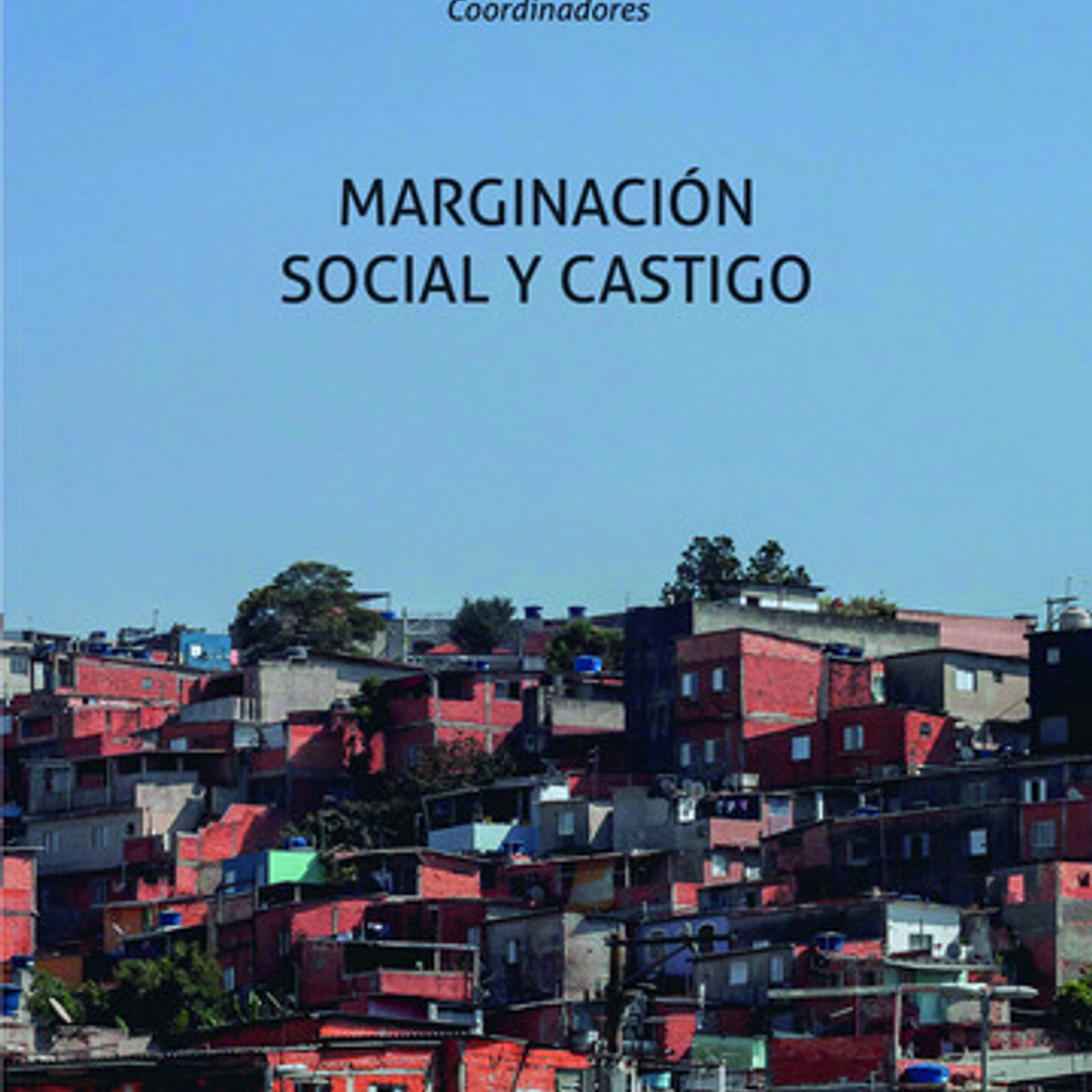 MARGINACION SOCIAL Y CASTIGO 1