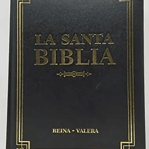 Santa Biblia Reina Valera 1960 Familiar Delujo