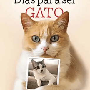 Días Para Ser Gato